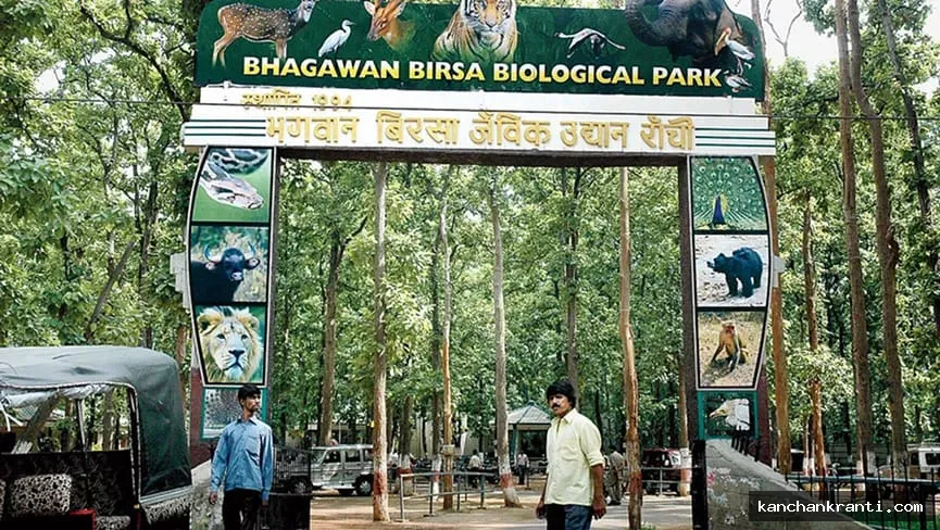 रांची: चिड़ियाघर के वन्यजीवों के भोजन पर संकट, हाईकोर्ट पहुंची हेमंत सरकार; फंड पर लगी रोक हटाने के लिए हस्तक्षेप याचिका दायर