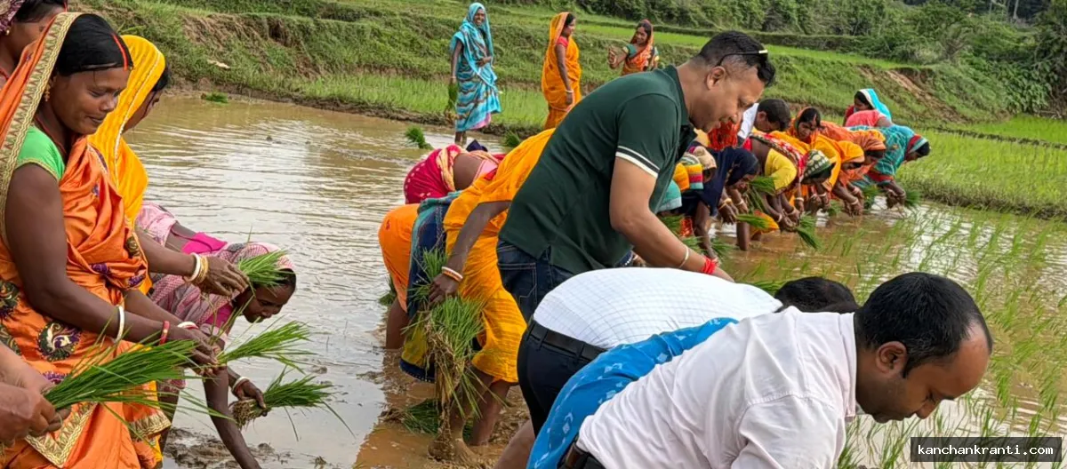 खेत में उतरे भूमि संरक्षण निदेशक: देवघर में किसानों संग की धान रोपनी, 100% अनुदान पर बांटे अरहर के बीज