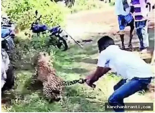 खूंखार तेंदुए ने किसान पर किया हमला,  किसान की बहादुरी से बच सकी जान