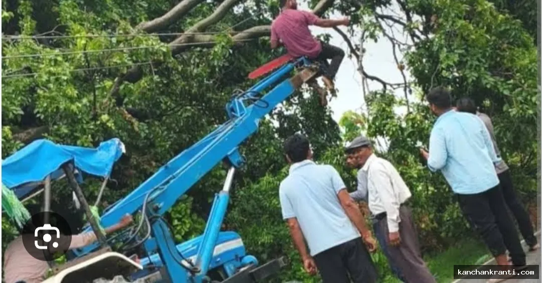 पेड़ और खंभा गिरने से 80 गांवों की बत्ती 7 घंटे गुल, ऊंचाहार में 16 घंटे ठप रही बिजली