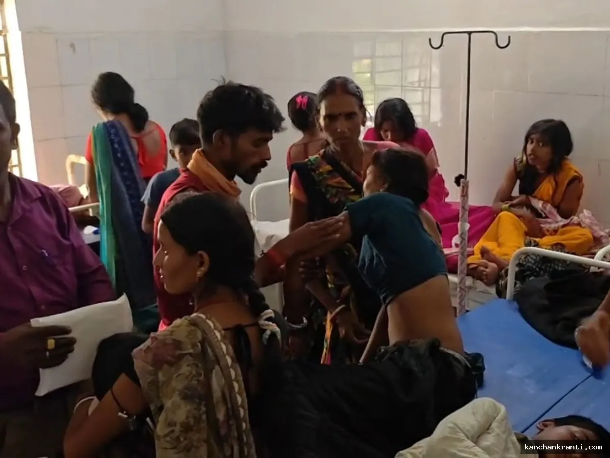 करमा विसर्जन के दौरान भौंरों के झुंड का हमला: आधा दर्जन बच्चों समेत दो दर्जन लोग गंभीर रूप से घायल