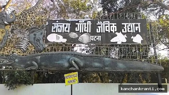पटना जू में वन्यप्राणी सप्ताह का शानदार आगाज़: सांपों की पहचान से लेकर रेस्क्यू तक पर दी गई अहम जानकारियां