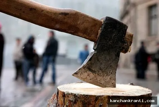 खूनी संघर्ष: पैतृक जमीन के विवाद में बड़े भाई ने छोटे भाई की फरसा से काटकर की हत्या