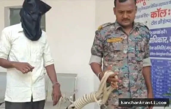 मधुपुर पुलिस की बड़ी कार्रवाई: भाजपा नेता पप्पू पांडेय के घर हुई चोरी का 24 घंटे के भीतर खुलासा, शातिर गिरफ्तार